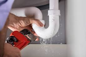 Best Commercial Plumbing Services  in Port Byron, IL